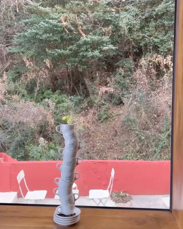 창밖으로 보이는 푸르른 숲