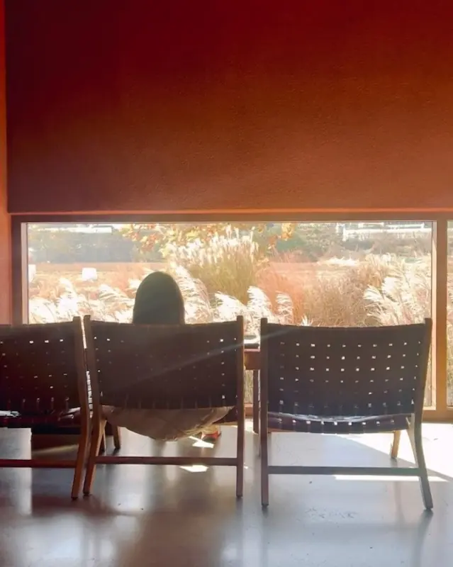 창밖의 풍경을 바라보며 여유를 즐기는 사람들