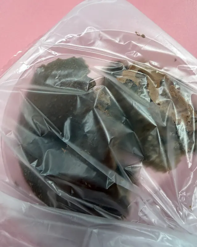 포장된 참치마요 주먹밥