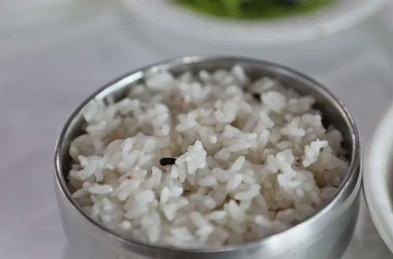 윤기 흐르는 밥