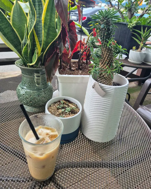 야외 테이블과 음료