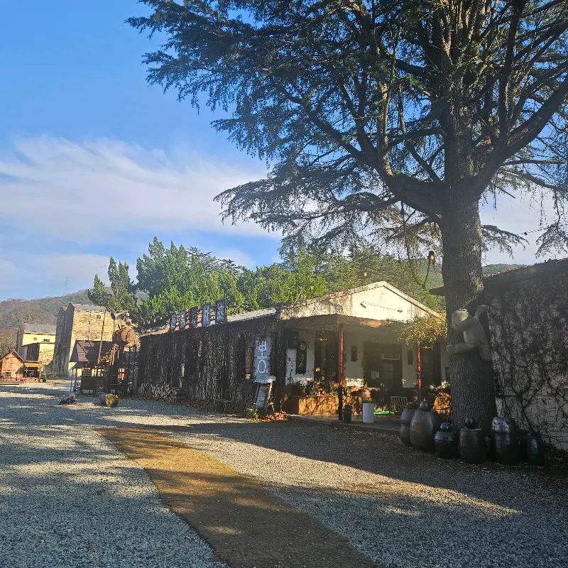 카페 외부 풍경