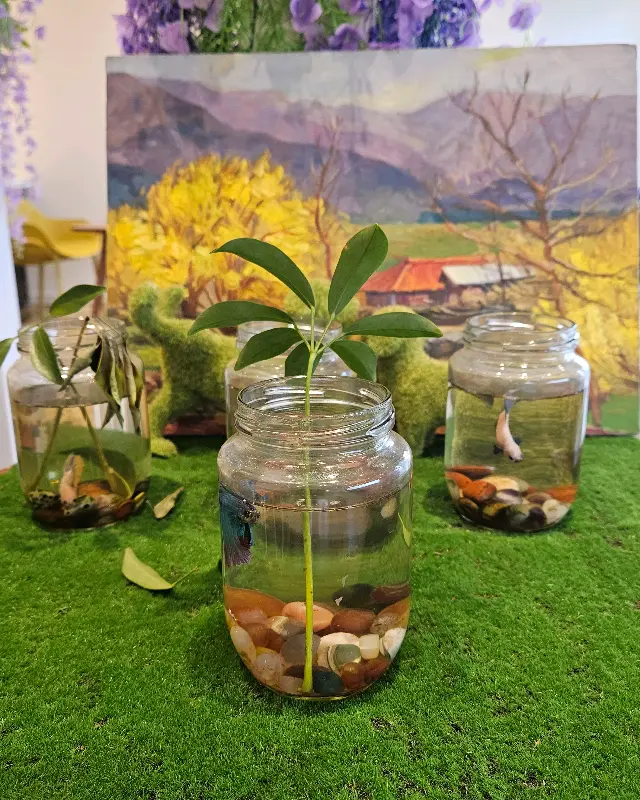 테이블마다 놓인 작은 물고기 병