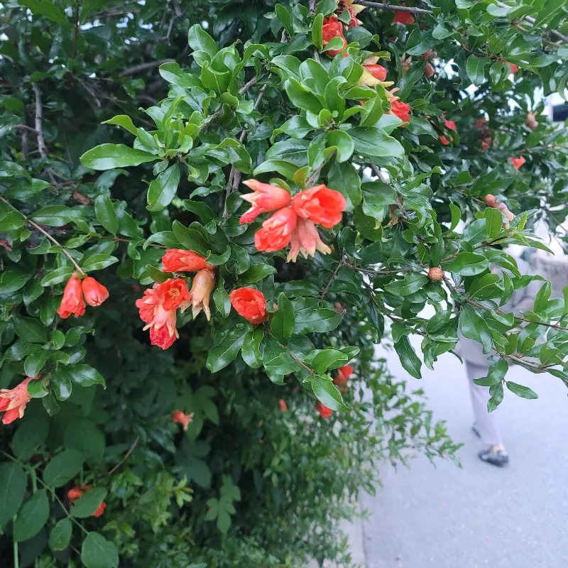 다담뜰 내부 모습