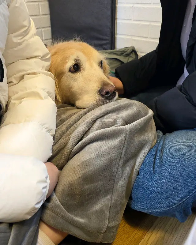 강아지와 함께 식사하는 모습