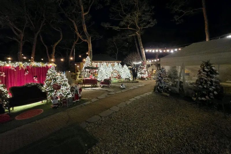 야외 공간의 크리스마스 장식