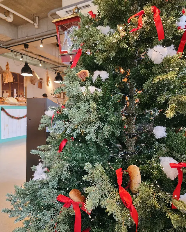 크리스마스 트리가 장식된 카페 내부