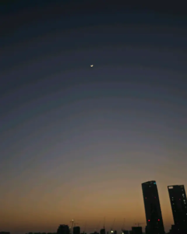 다양한 차 종류를 선택할 수 있다