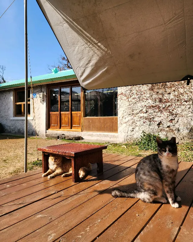 소길다방 마당 풍경