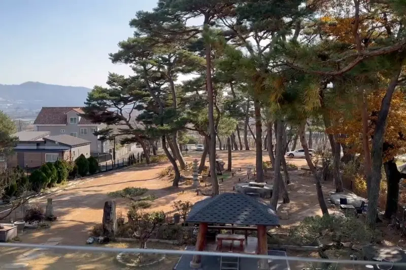 카페파인 야외 정원