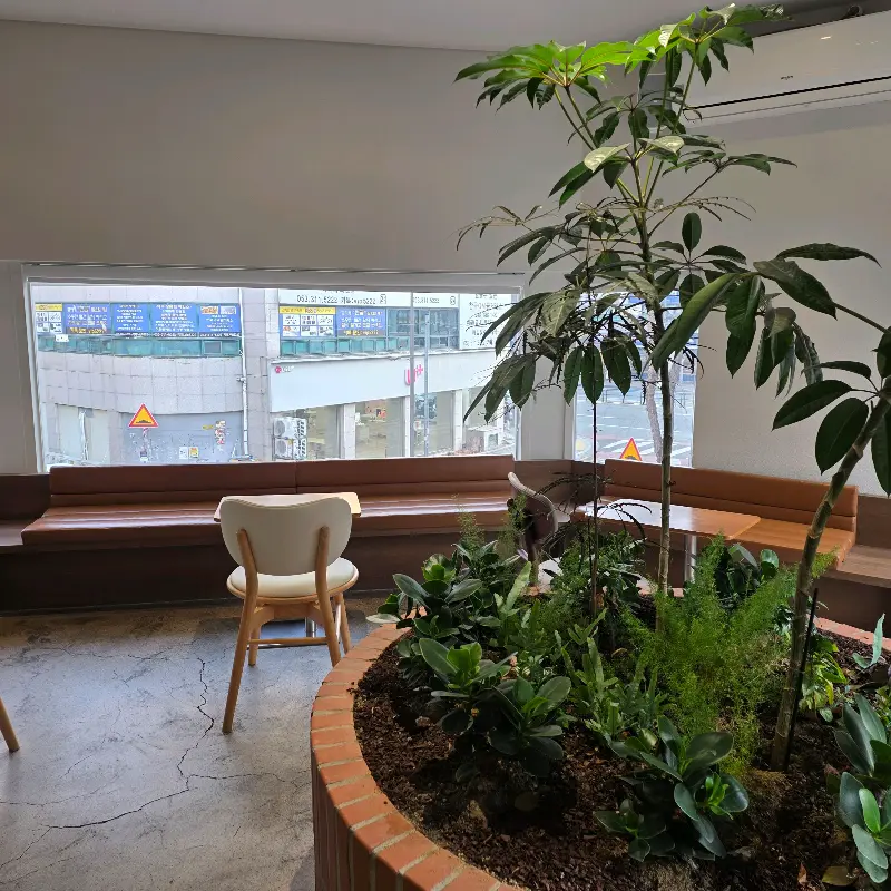 레이지모닝 내부