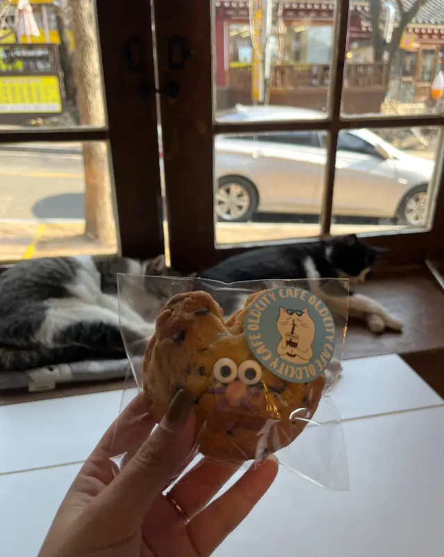고양이 쿠키와 창밖 풍경