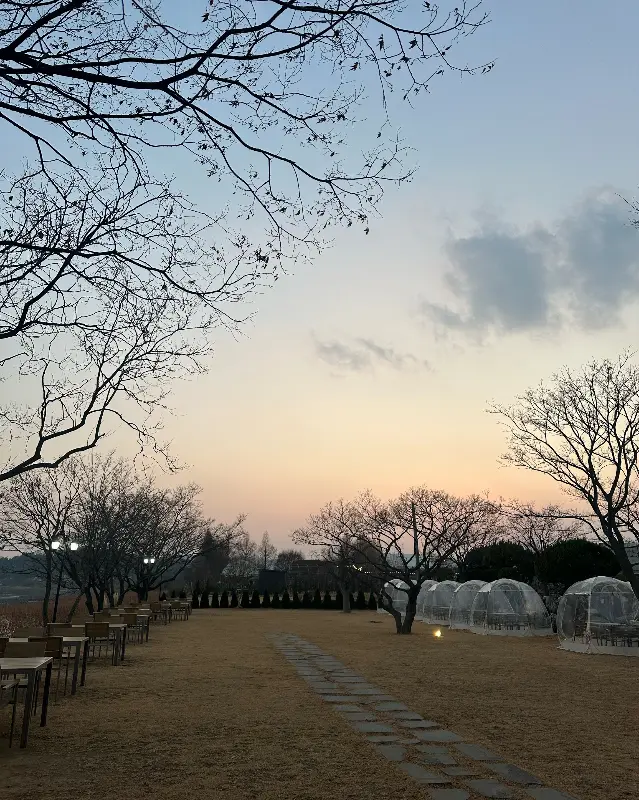 야외 테이블과 투명 돔