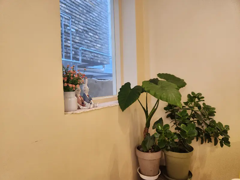 아기자기한 소품들