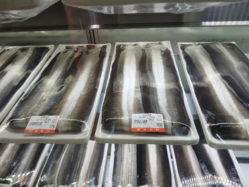 쇼케이스 안의 싱싱한 장어