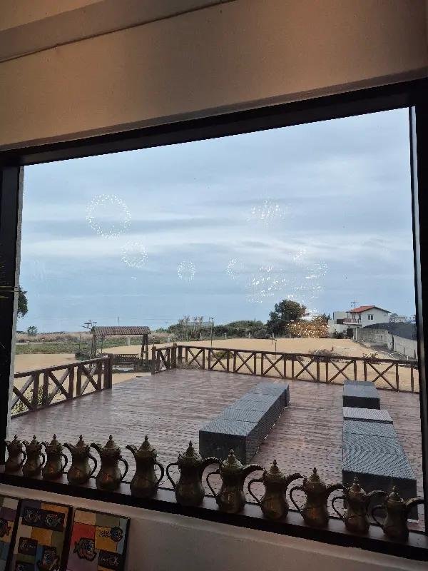 카페 내부에서 창밖을 바라본 모습