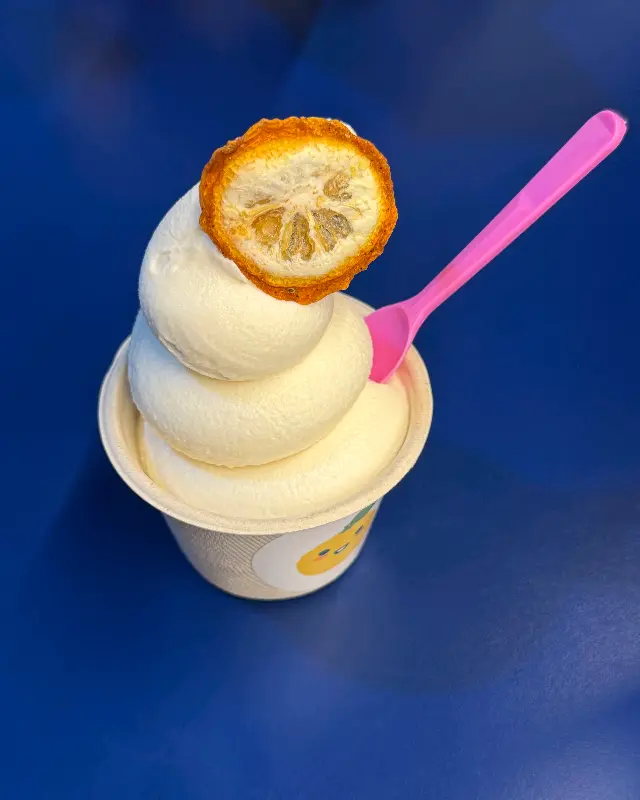 남해 유자 아이스크림