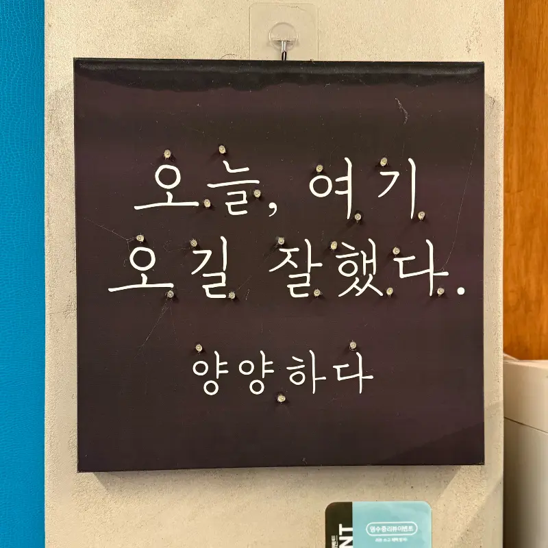 오늘, 여기 오길 잘했다