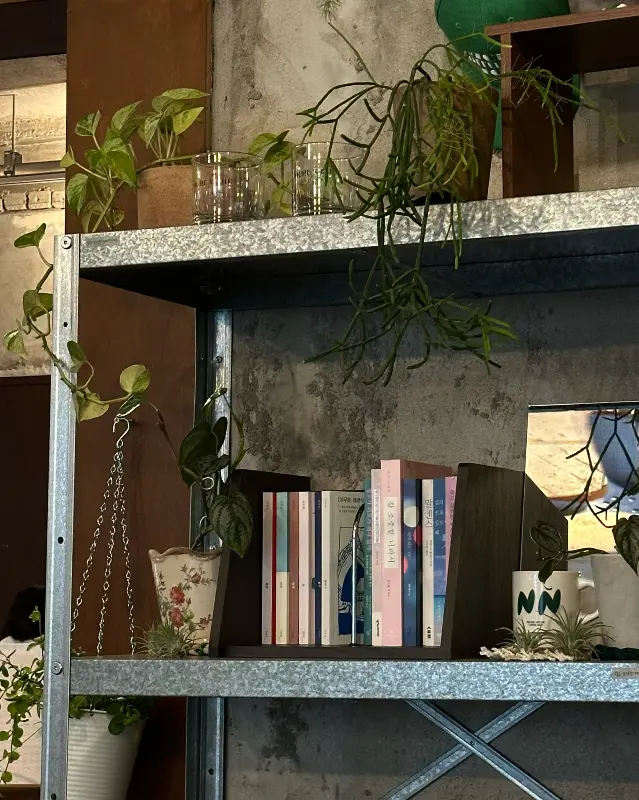 니치니치 카페 책장