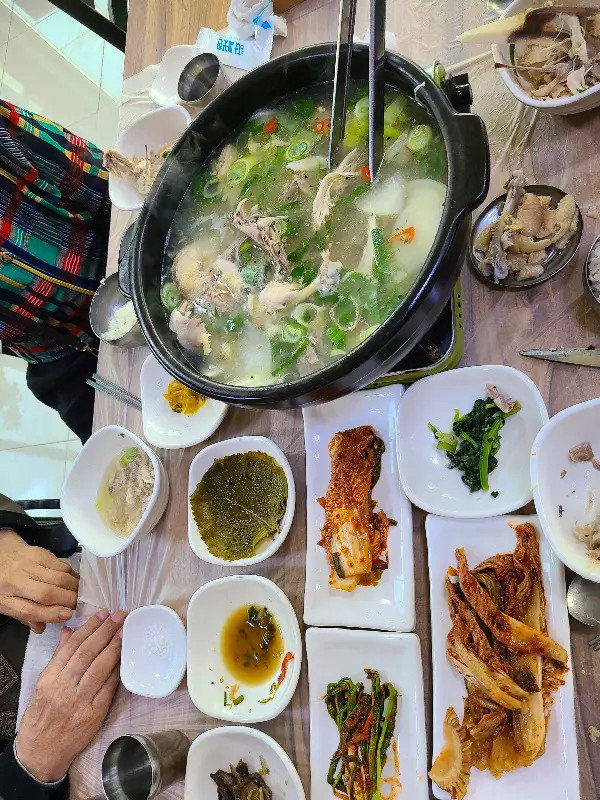 맛깔스러운 옻닭 한 상