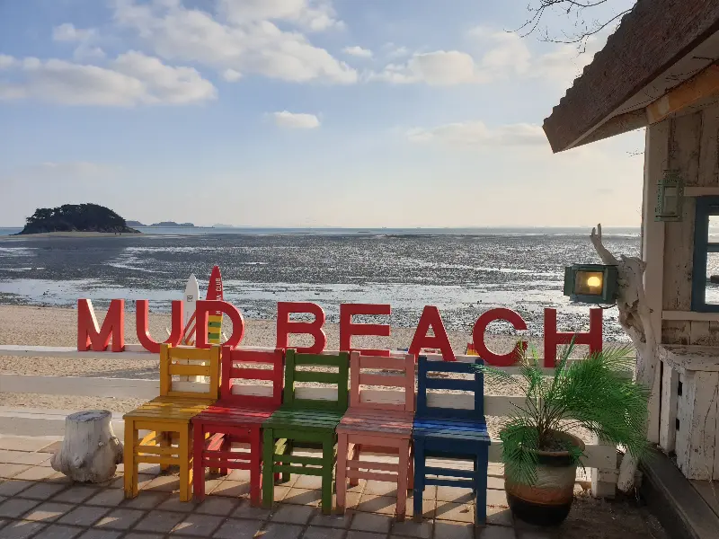 카페 앞 갯벌 풍경