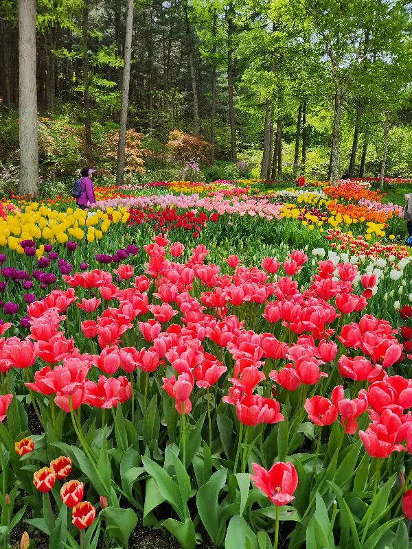 아침고요수목원의 아름다운 풍경