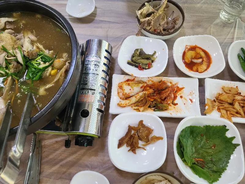 푸짐한 옻닭 한 상 차림