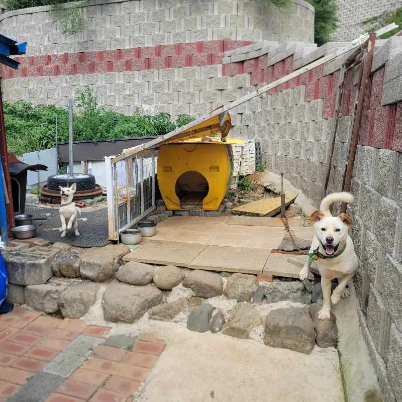 깔끔하고 편안한 분위기의 남대천식당 내부