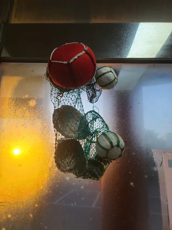 수족관 속 전복