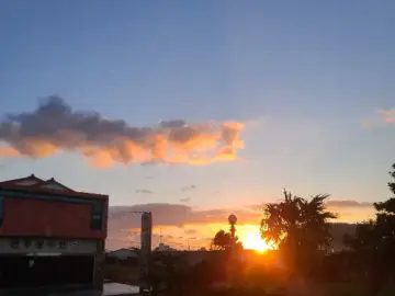 성산일출봉 품은 제주, 오조리 해녀의 손맛이 깃든 전복죽 맛집 순례기