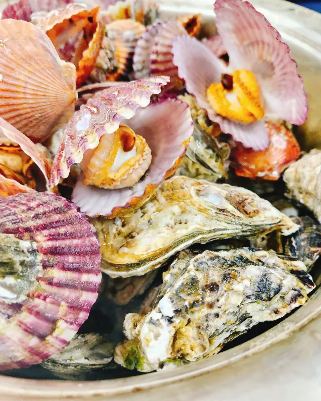 신선한 굴과 가리비가 가득 담긴 찜통