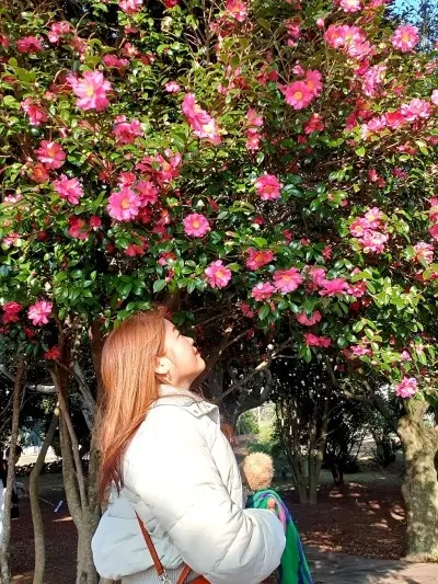 카페 주변에 핀 아름다운 꽃들