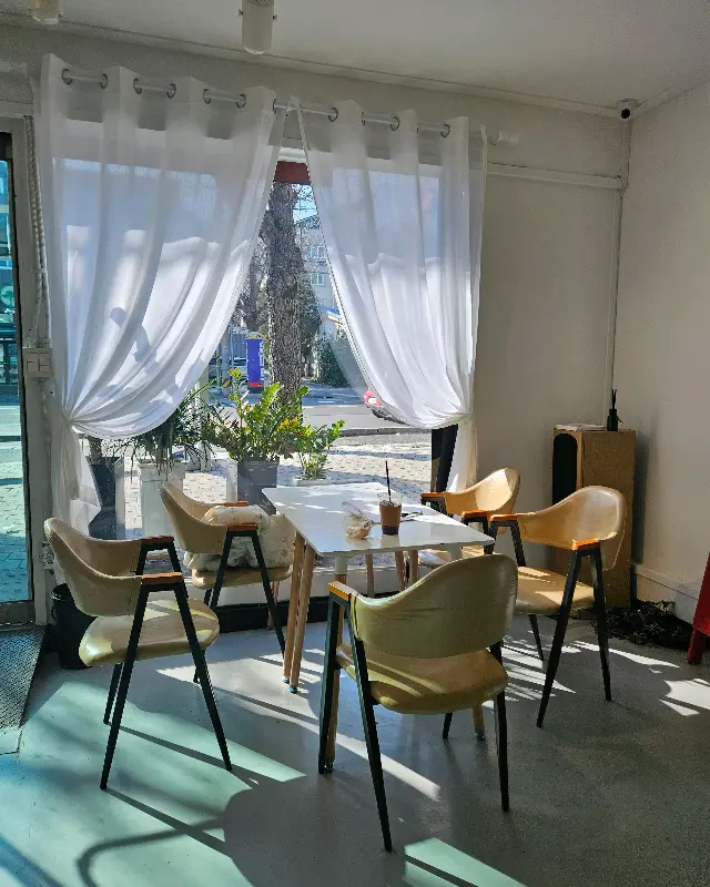 다양한 도넛 모형