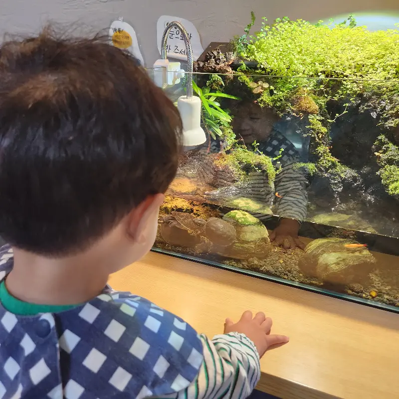 수조를 구경하는 아이