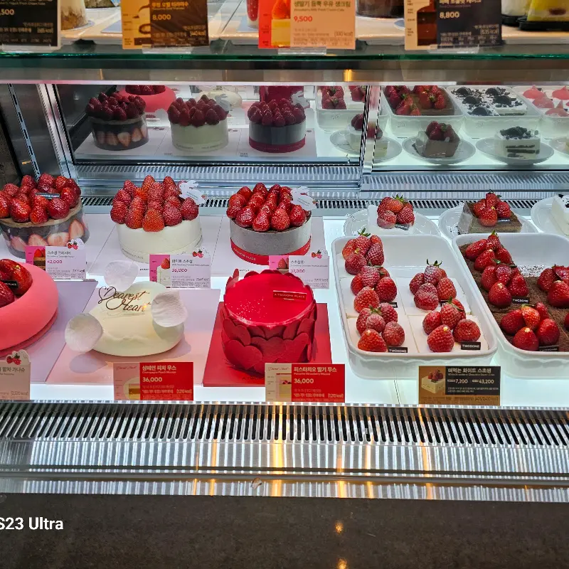 쇼케이스 안에 진열된 다양한 케이크들