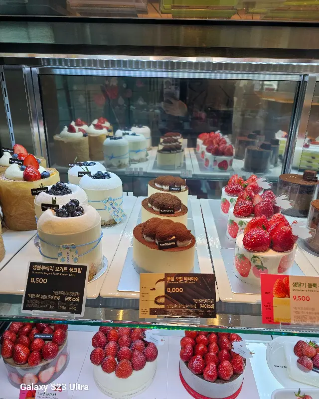 투썸플레이스 케이크 쇼케이스