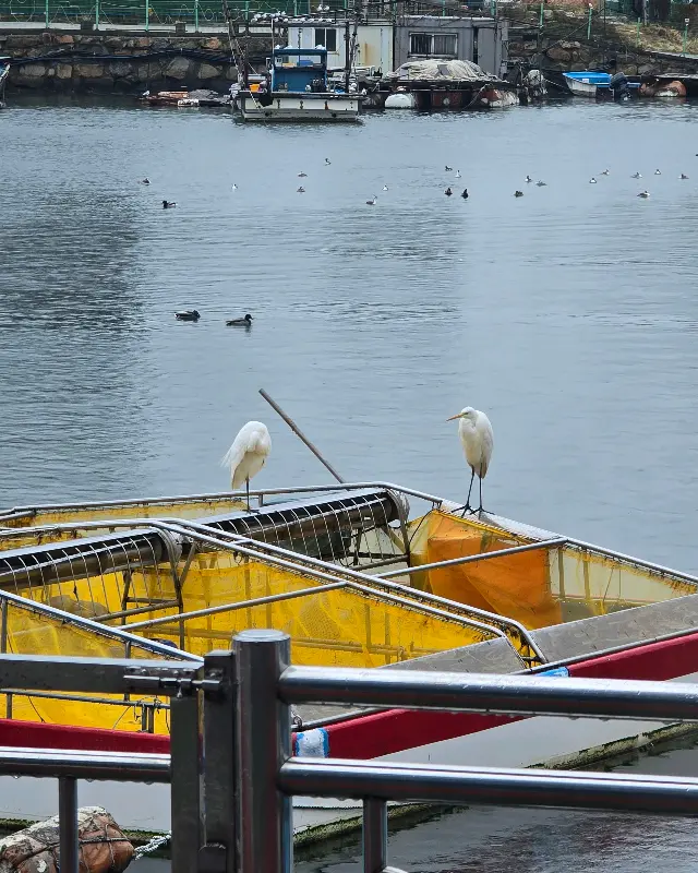 낙동강의 아름다운 풍경