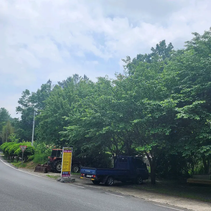 우포늪 주변 풍경