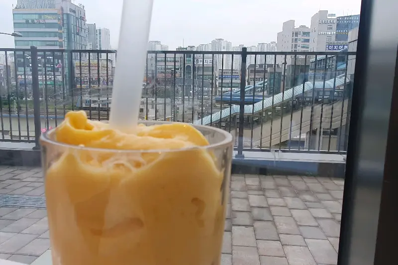 음료를 마시며 창밖을 바라보는 모습