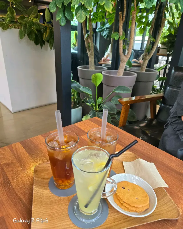 음료와 쿠키가 나무 쟁반에 담겨 제공된다.