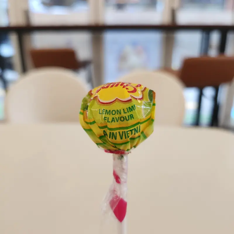 레몬 따기 체험