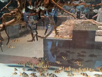 동대구역, 풍미 가득한 추억 한 조각: 명덕빵앗간에서 만나는 특별한 대구 빵 맛집