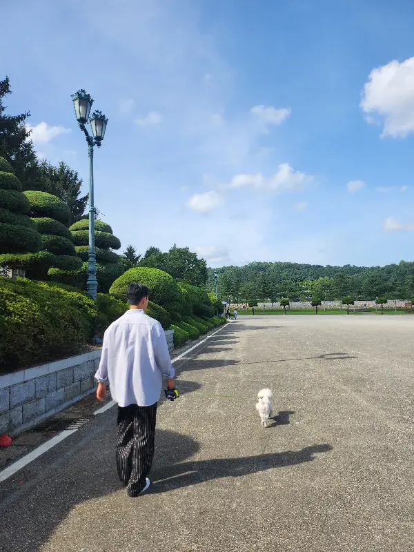 감천문화마을 전경