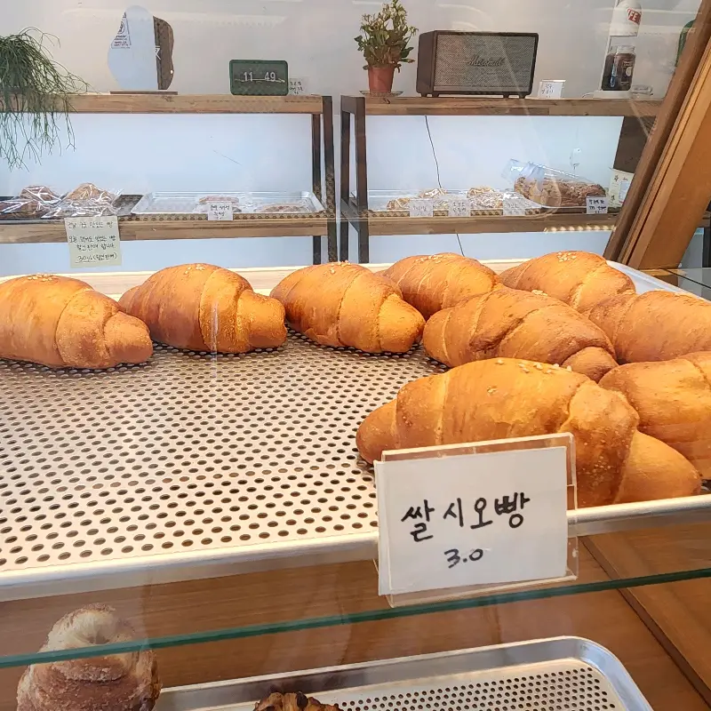 갓 구운 빵들