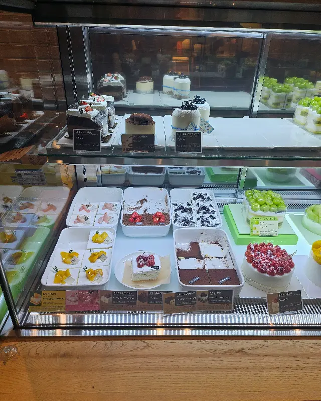 쇼케이스에 진열된 다양한 케이크