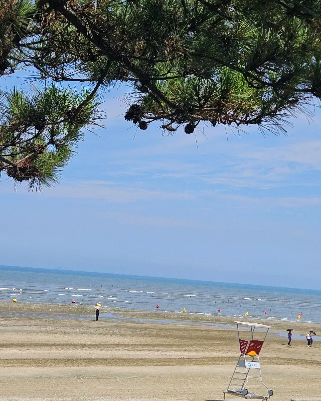 동호해수욕장의 아름다운 풍경