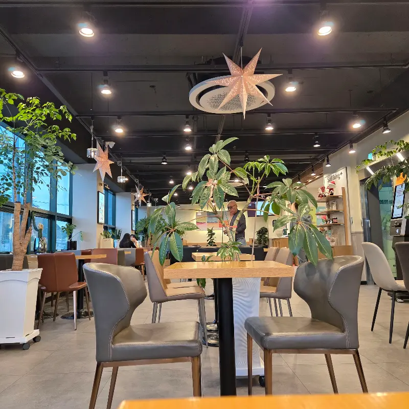 따뜻한 조명 아래 편안한 분위기의 설빙 내부