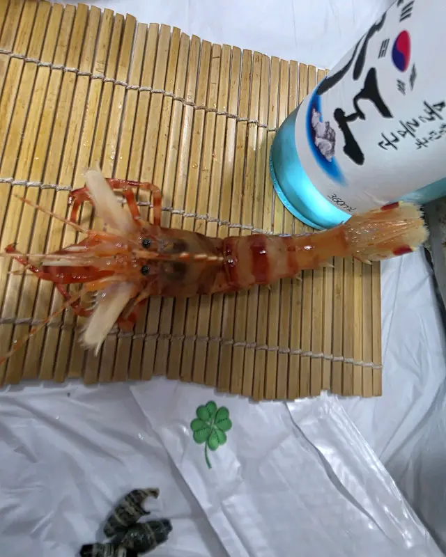 소주병 위에 올려진 독도새우