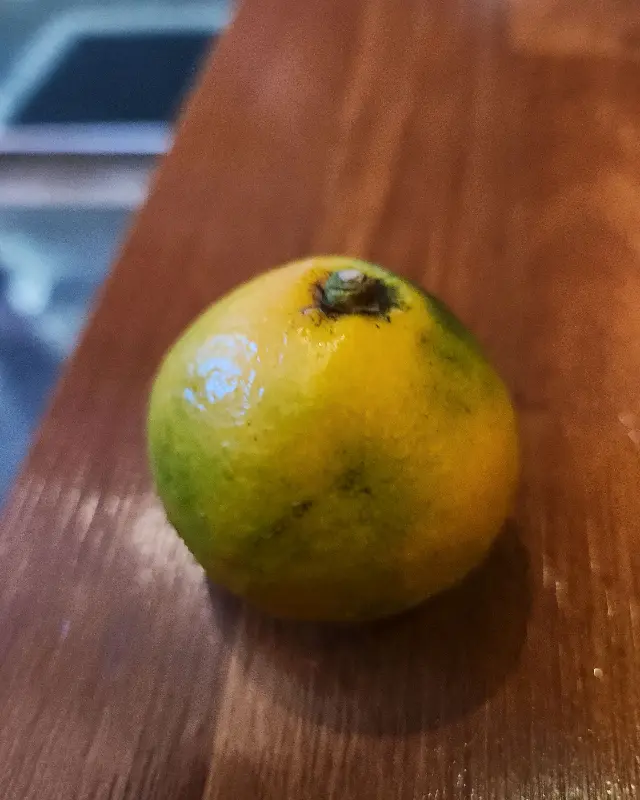 기본 안주로 제공된 귤