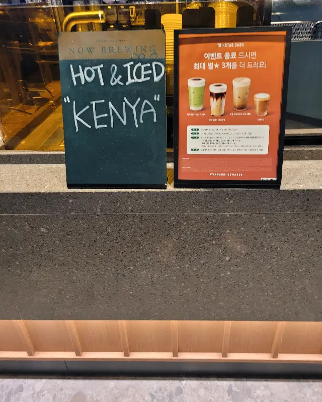 오늘의 커피 안내